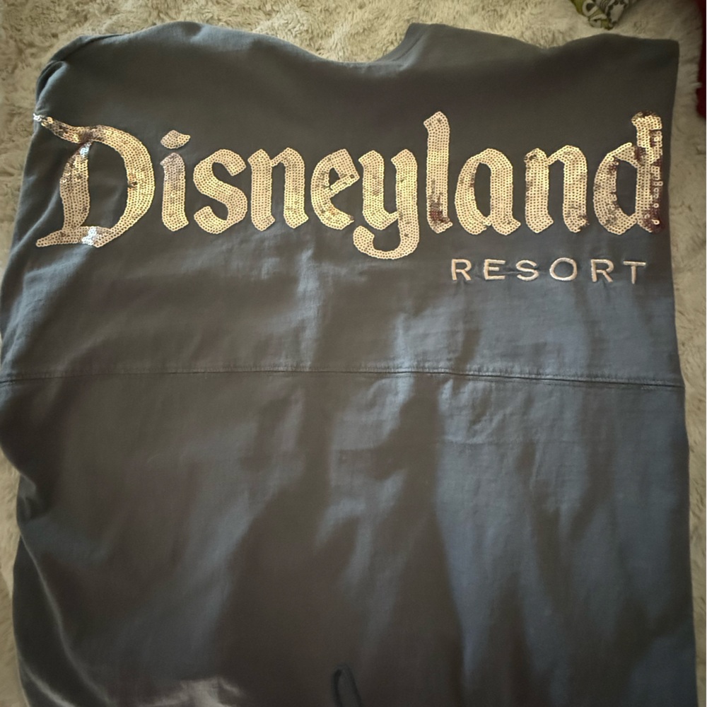 Disney Parks Gray Spirit Jersey